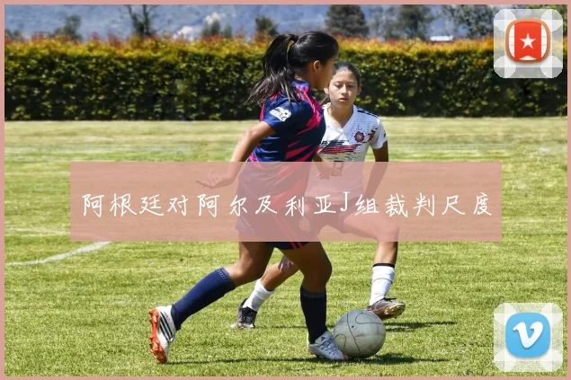 阿根廷对阿尔及利亚J组裁判尺度