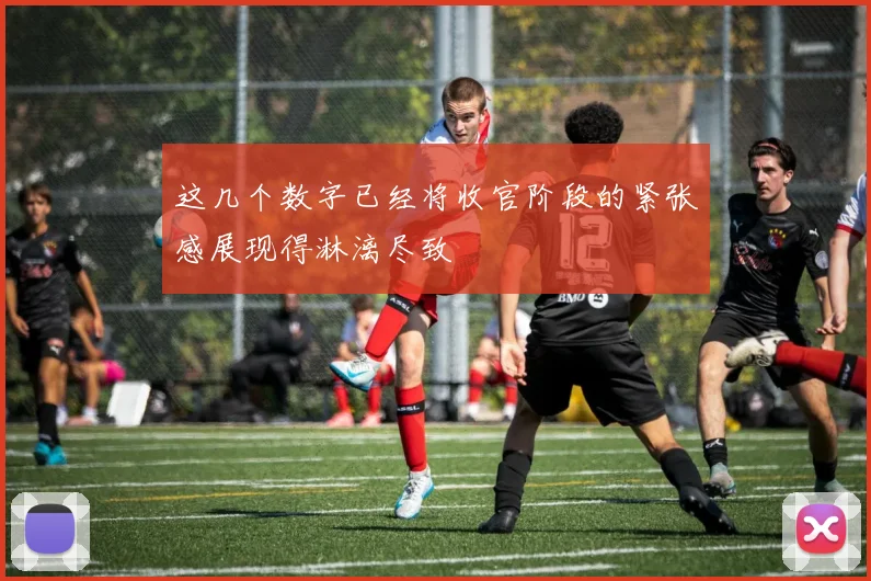 这几个数字已经将收官阶段的紧张感展现得淋漓尽致