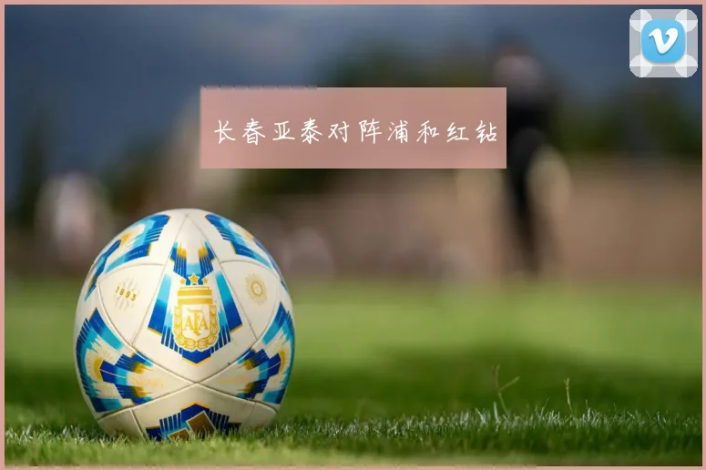 长春亚泰对阵浦和红钻