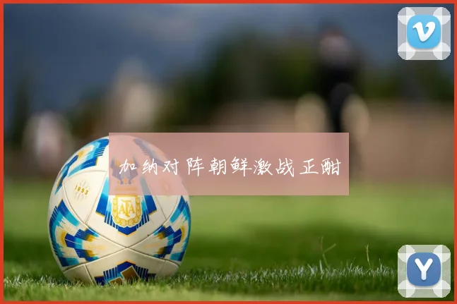 加纳对阵朝鲜激战正酣