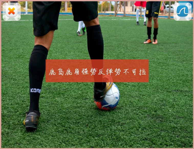 鹿岛鹿角强势反弹势不可挡