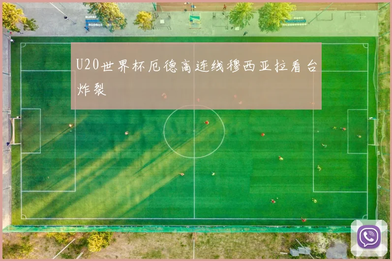 U20世界杯厄德高连线穆西亚拉看台炸裂