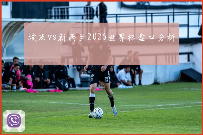 埃及vs新西兰2026世界杯盘口分析