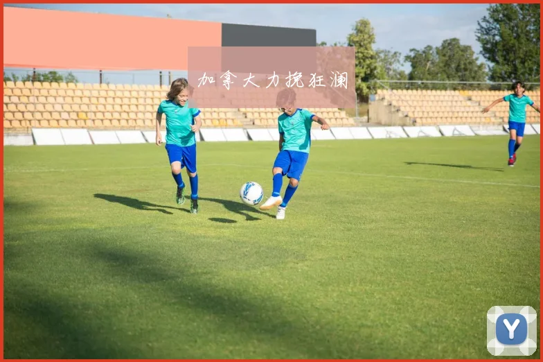 加拿大力挽狂澜