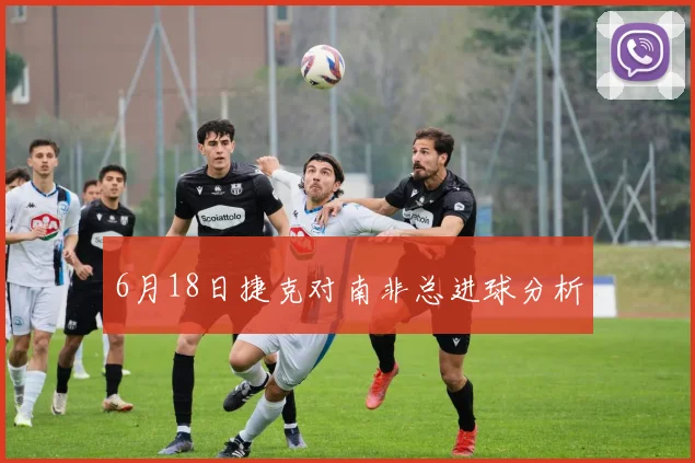6月18日捷克对南非总进球分析