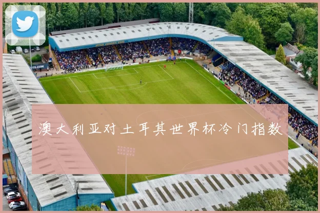 澳大利亚对土耳其世界杯冷门指数