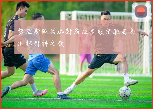努涅斯弧顶远射乌拉圭锁定胜局美洲杯封神之夜
