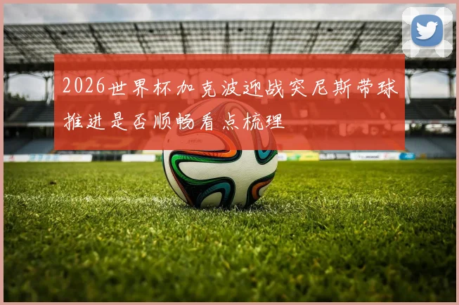 2026世界杯加克波迎战突尼斯带球推进是否顺畅看点梳理