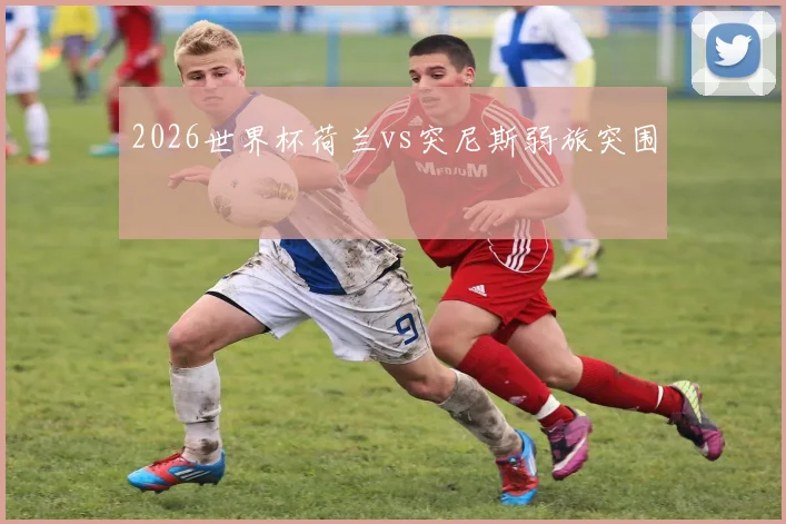 2026世界杯荷兰vs突尼斯弱旅突围