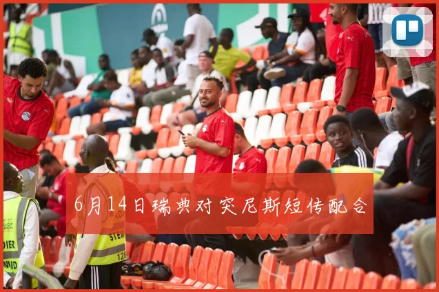 6月14日瑞典对突尼斯短传配合